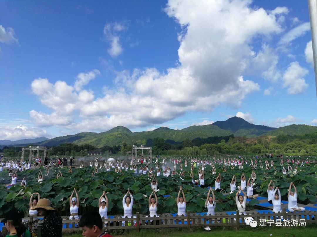 三明市政协副主席,三明市旅发委主任陈欣,福建省旅发委市场开发处调研