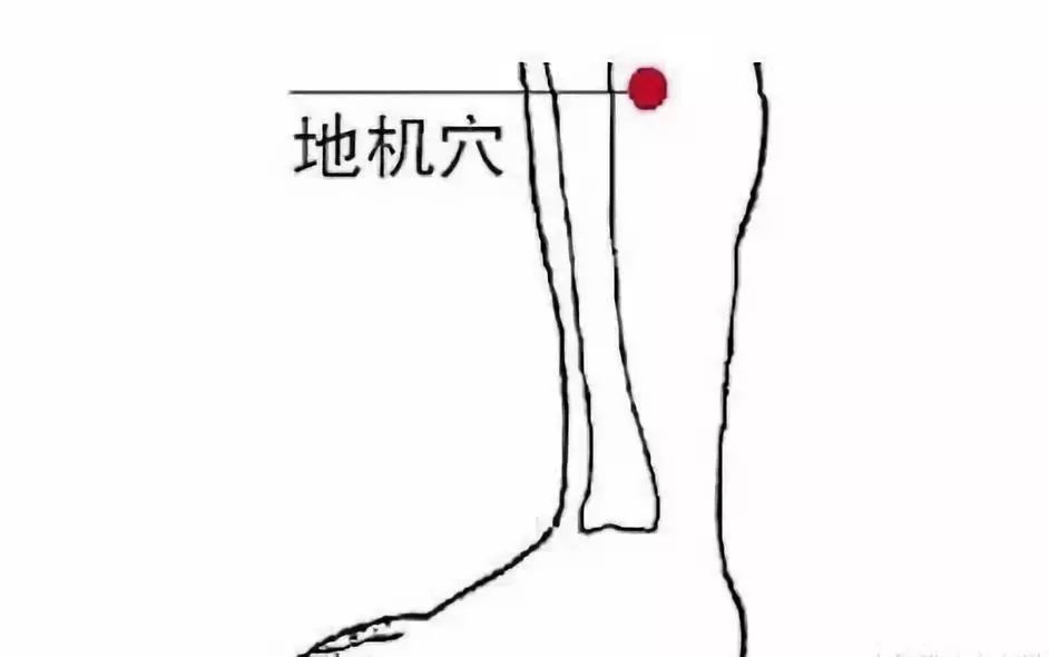 取穴方法:采用坐位或仰卧姿势,阴陵泉穴位于小腿内侧,在胫骨内侧髁后