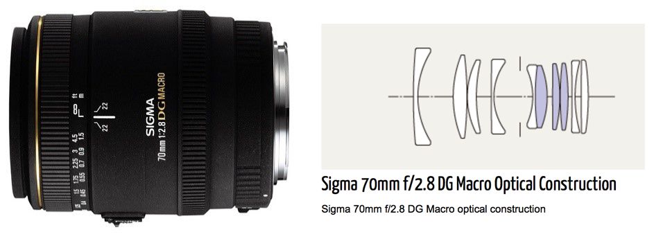 探寻爆款微距镜头的魅力——70mm F2.8 DG MACRO | Art_手机搜狐网