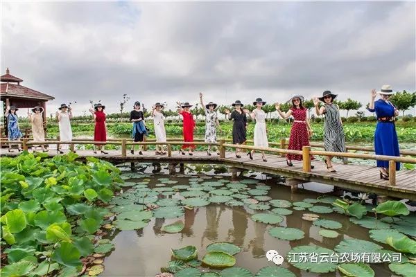 江苏省云台农场有限公司开启智慧生态旅游新时代