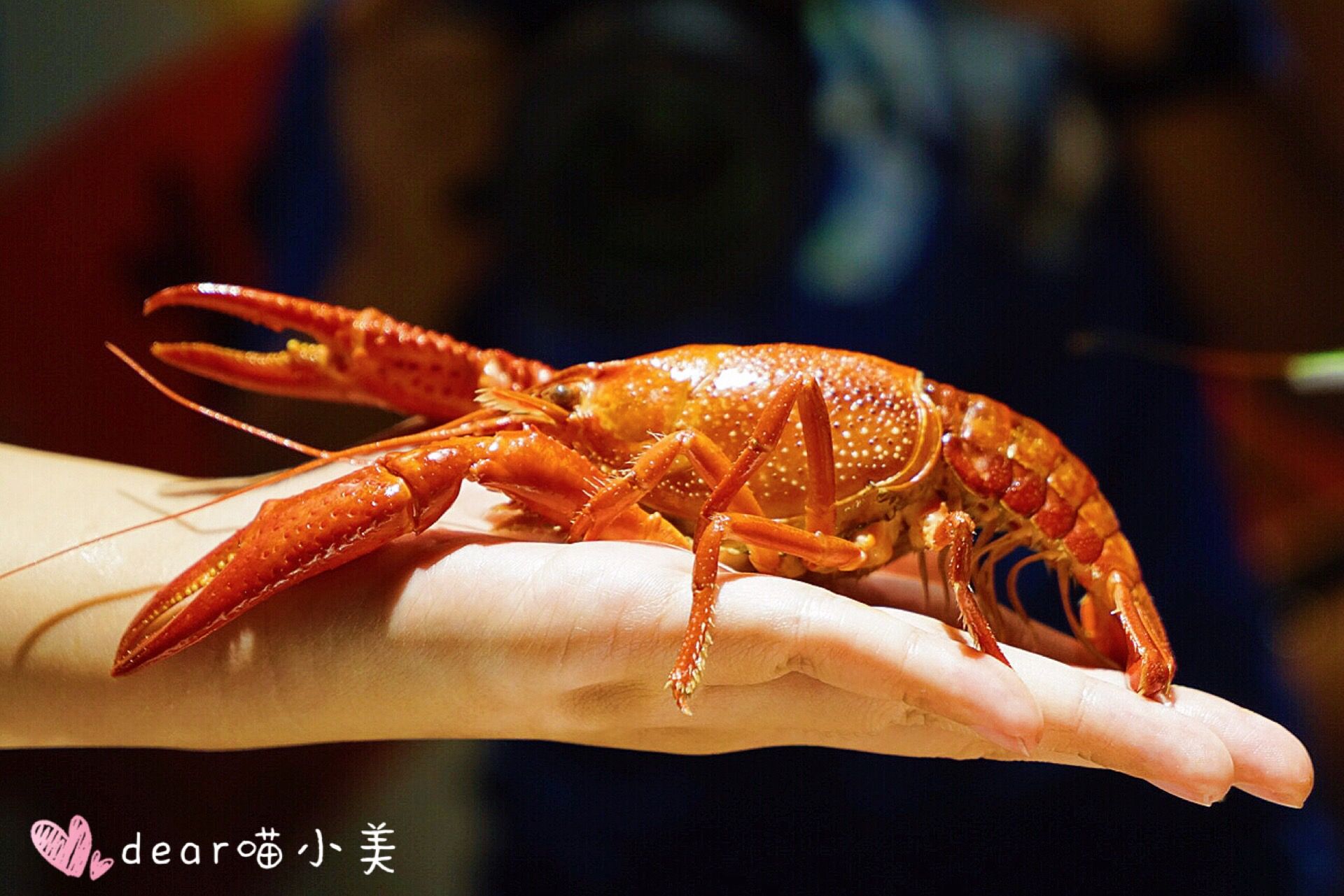 够大才够爽,这是我吃过的最大最爽的小龙虾啦