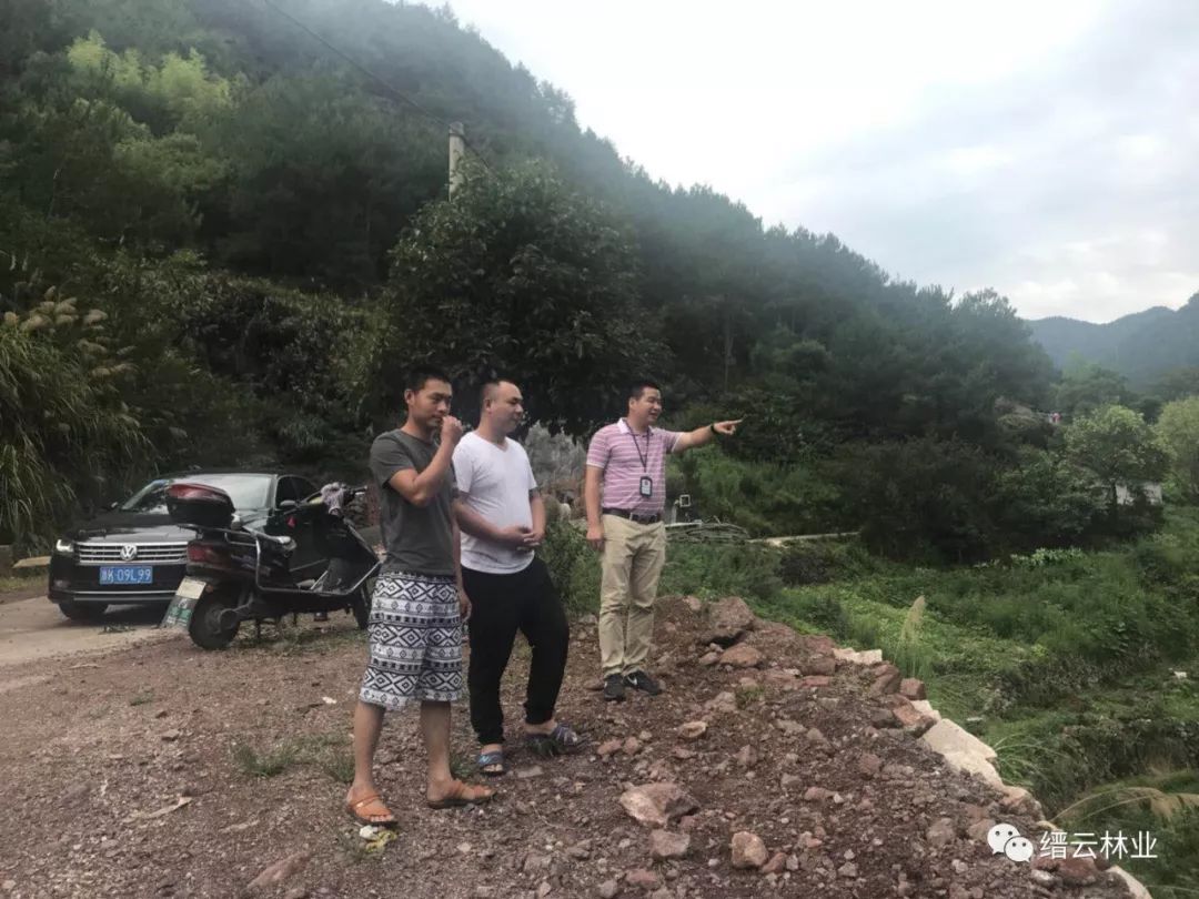 9,缙云森林警察和新建林业中心站工作人员在新建镇览村大岩坑山场发现