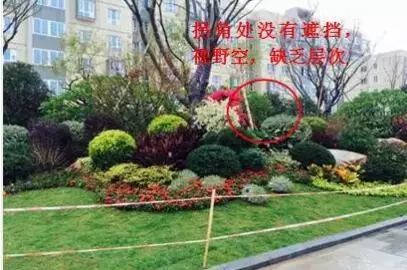 图解植物景观配置的方式方法,让你秒变园林设计高手!