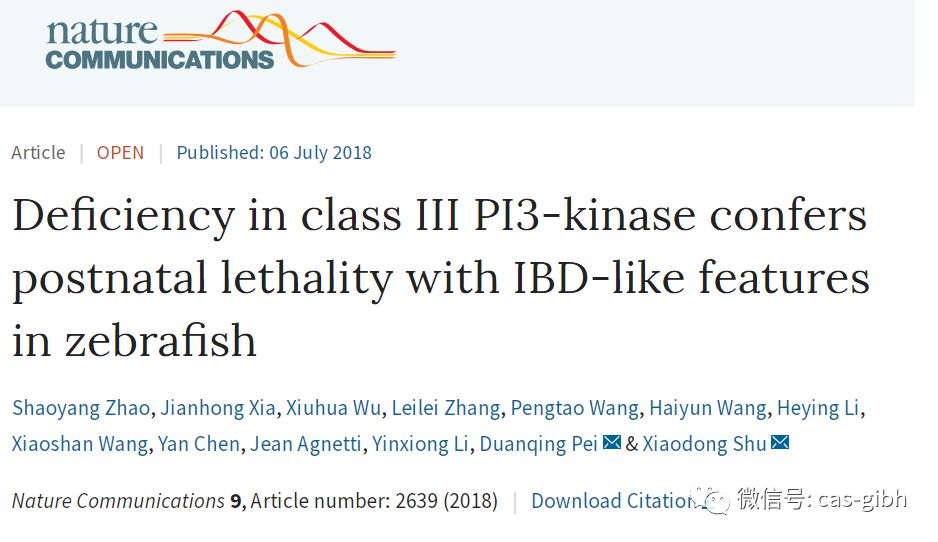 "deficiency in class iii pi3-kinase conferspostnatal lethality