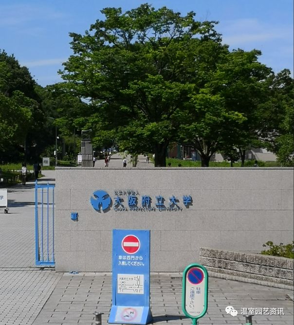 大学 大阪 府立