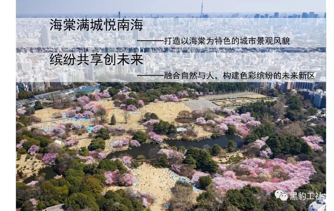 主题规划及盐城市城南新区南海公园海棠植物景观设计项目通过会议评审