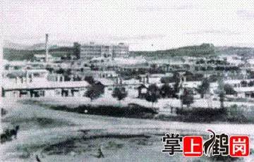 鹤岗历史人口_鹤岗人口趋势