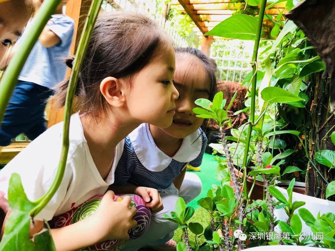 好书共读林间最后的小孩day16第十六节自然学校改革