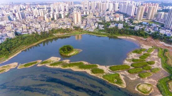 海南建省时的经济总量_海南经济发展变化图片