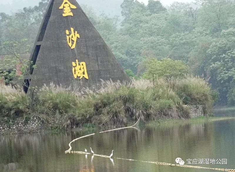 金沙湖生态旅游风景区