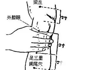 12. 急腹三里肾精灵