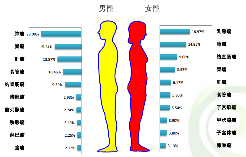 淋巴瘤gdp(3)