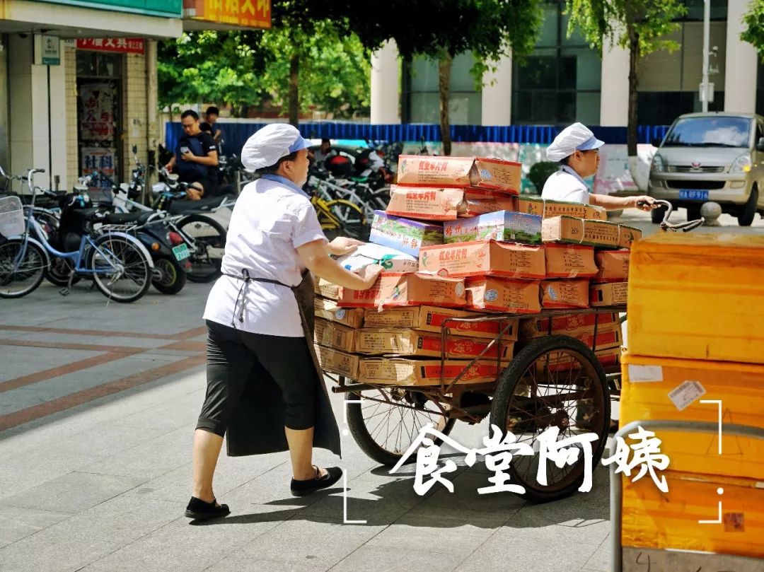 他夏了夏天 明天的阳光和你,谁更灿烂?