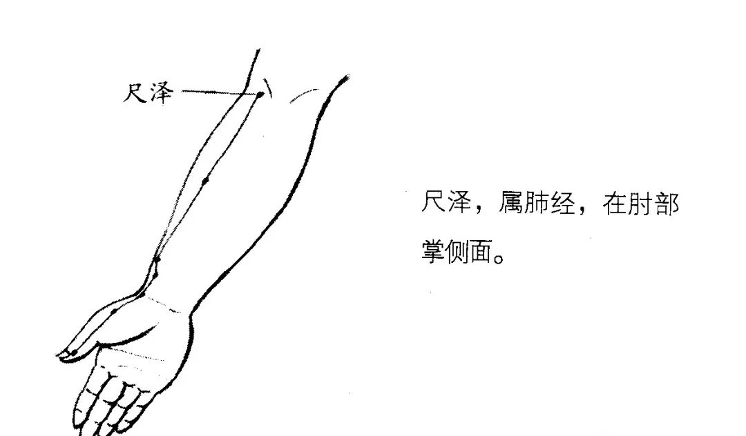 尺泽穴