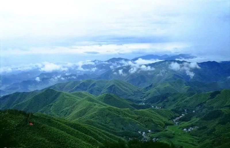 (莫干山风景照)