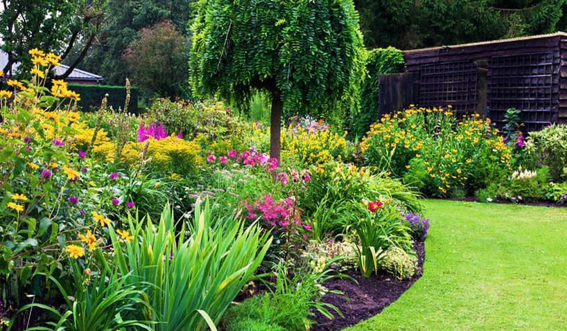 300㎡“别墅庭院”设计，3年打造简约欧美风格大花园！