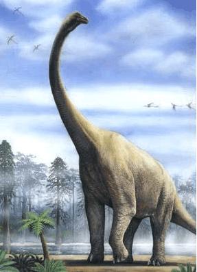 你知道史前最奇特的五种恐龙是哪些吗?
