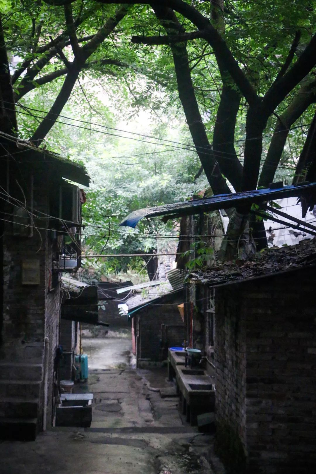 沙坪坝区土湾街道,藏着一个鲜为人知的小村.