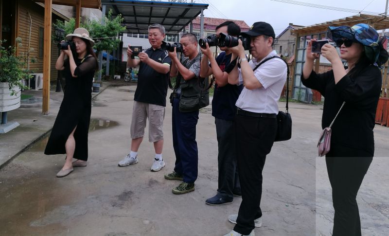 童营清水塘,古黄河,月牙湾,周门清朝船政大臣裴荫森古墓等项目亮点