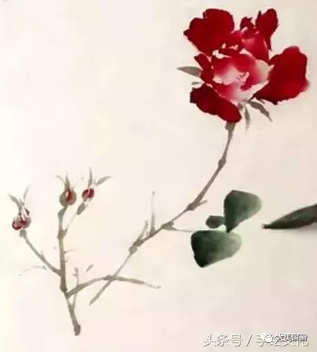 中国画写意月季花的详细画法