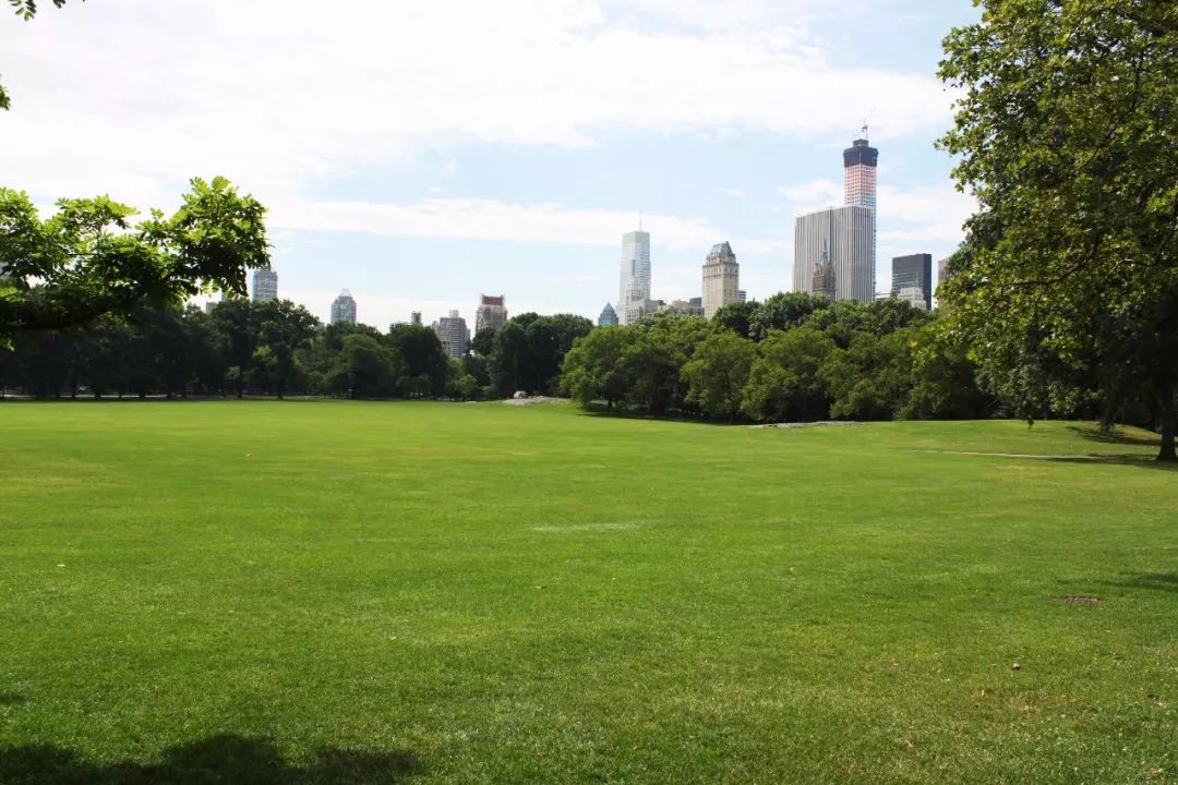 lnac第4期从美国城市公园看园林植物空间的构成及营造