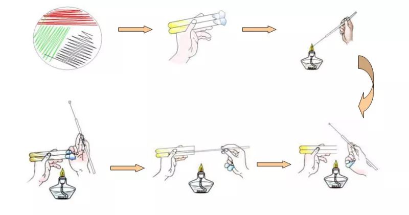 微生物基础操作知识小汇总