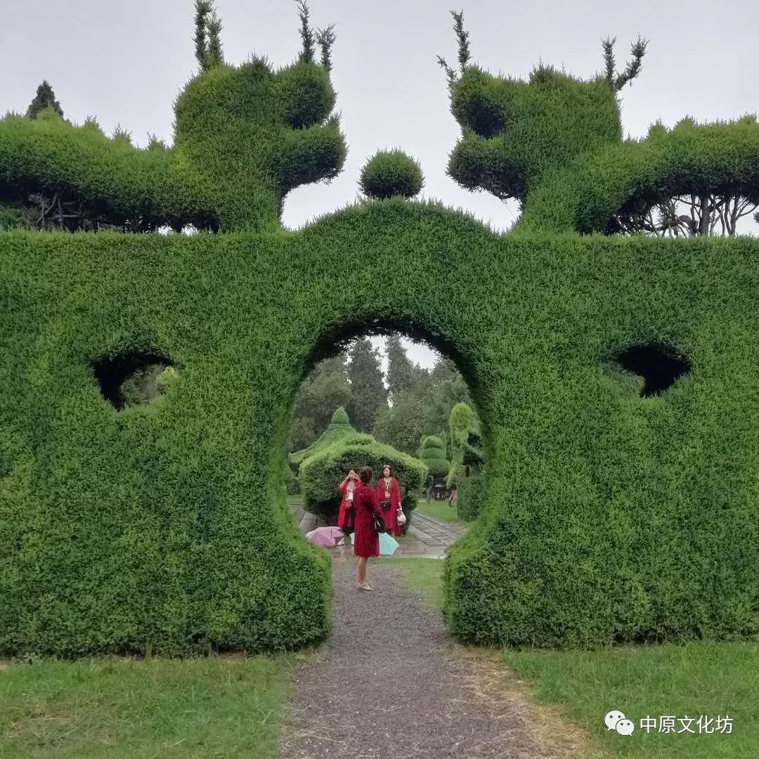 雨中游览淮阳剪枝公园