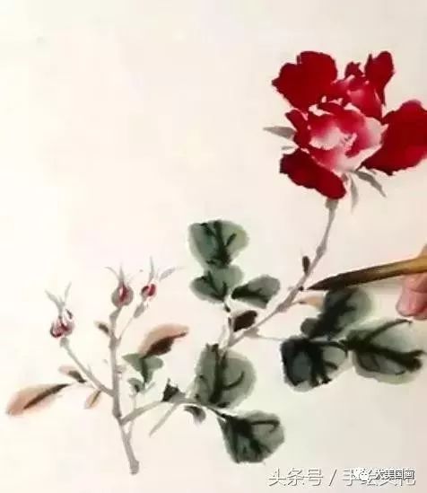 中国画写意月季花的详细画法