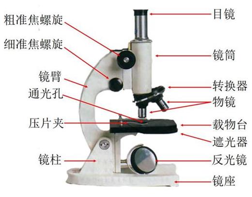 显微镜原理的结构图片_扫描电子显微镜的原理结构