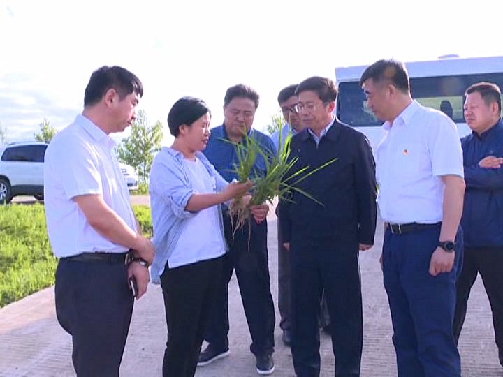 【调研】佳市委常委,市纪委书记,市监委主任姜宏伟到我市调研指导工作