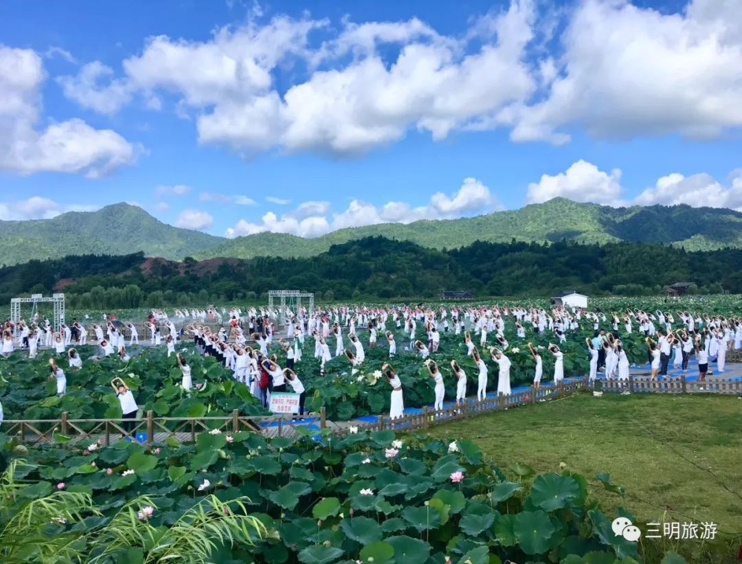 万人盛会!今夏最热闹的荷花盛典在建宁启幕!