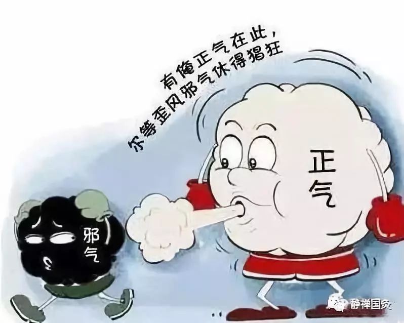 西医除了对抗邪气,要是遇上碍事的正气也不客气,统统消灭掉.