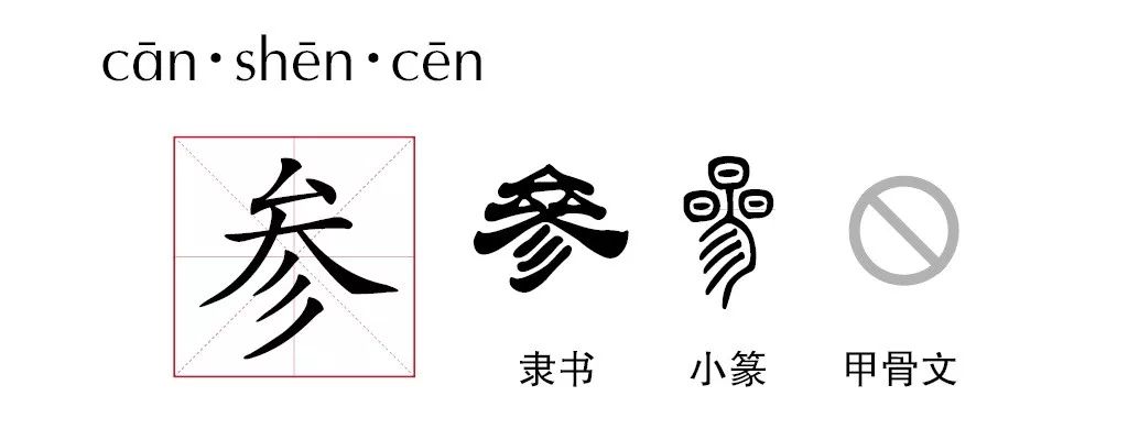 这里我们重点讲一下 参字.