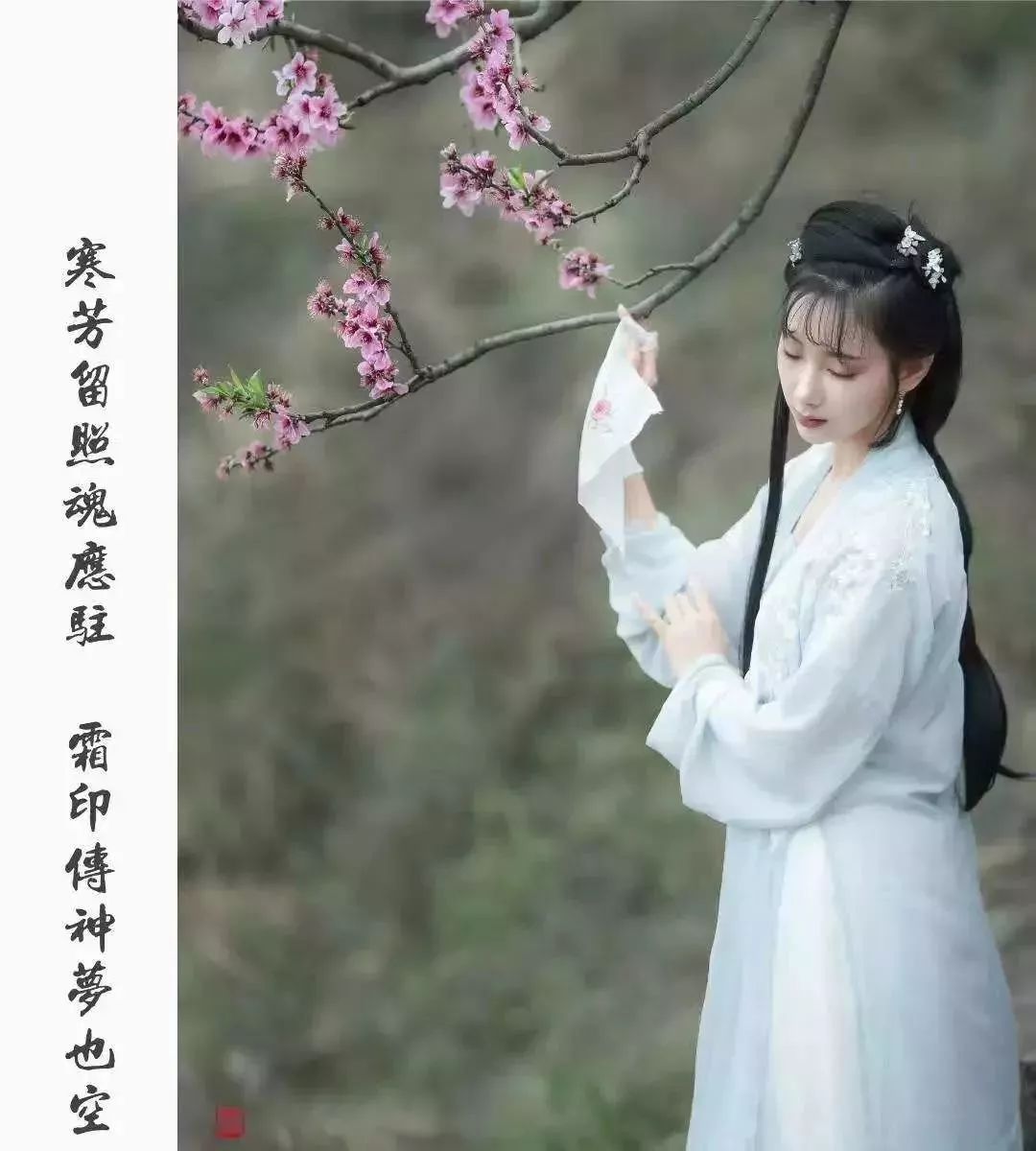 葬花吟简谱古筝_葬花吟古筝曲谱简谱(3)