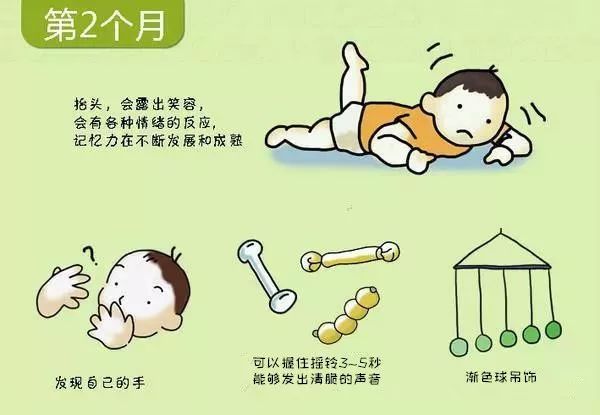 图解:0-3岁宝宝早期教育亲子课程学习要素