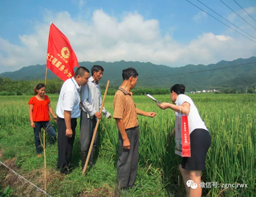 是新时代做好"三农"工作的总抓手,做好农村金融服务,助推乡村振兴,既