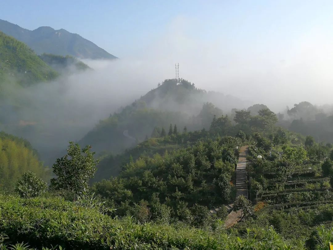 岳西自驾避暑圣地等你来约!