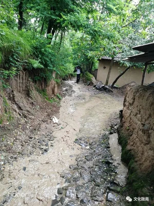 确保人员生命财产安全,我局驻村帮扶队一直坚守在礼县白河镇庞山村