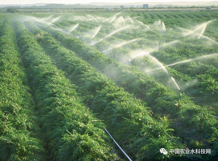 水利部:新增2000万亩高效节水灌溉面积任务完成过半