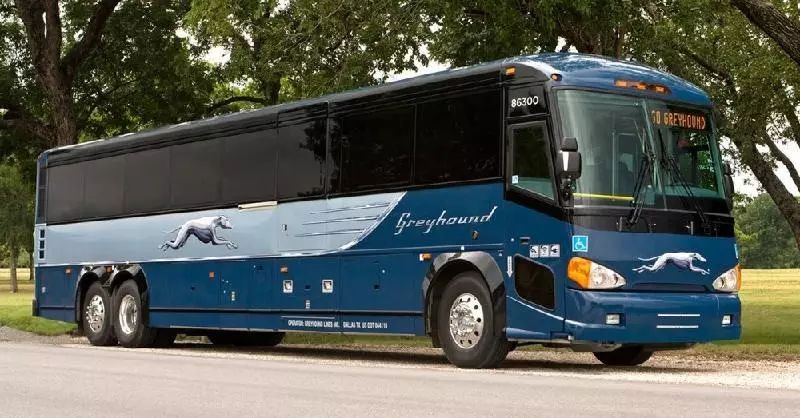 Peter Pan Bus vs Greyhound: Which Bus Service Offers the Best Travel Experience?