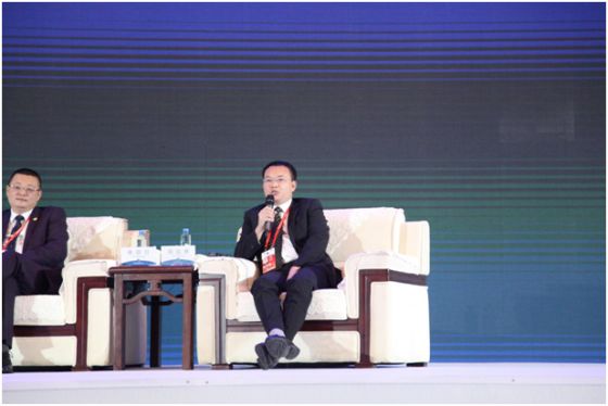 刘汉林在绿色产业发展百人会上作交流对话