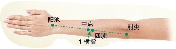 四渎穴位置图和功效作用