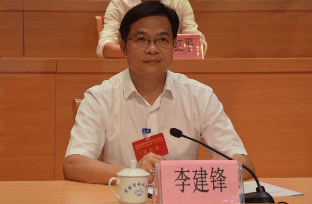 市委常委,秘书长李建锋讲话李晓勇对贵港青联工作给予充分肯定.