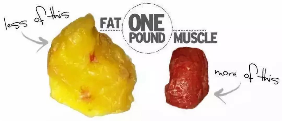 1磅的脂肪和1磅肌肉对比图