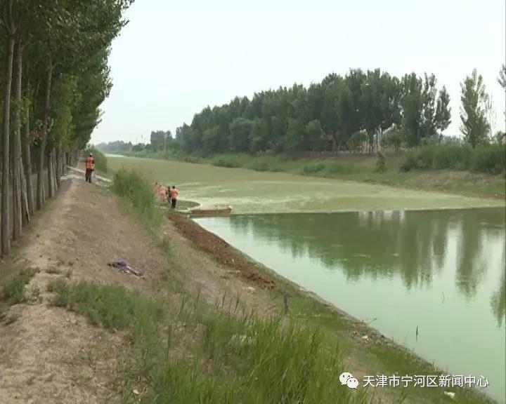 卫星河是连接潮白新河和蓟运河的一条主河道,属于区二级河道,其中,东