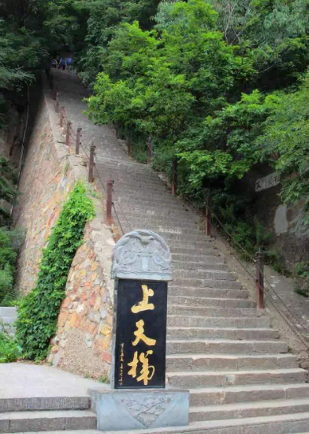 悠游崆峒之夏 悦旅青山绿水