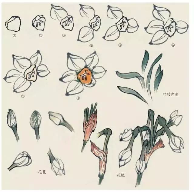 【学画】国画中各种花卉的画法,太全了!