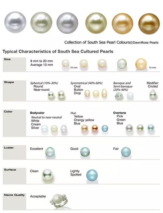 关于珍珠种类知识的解析