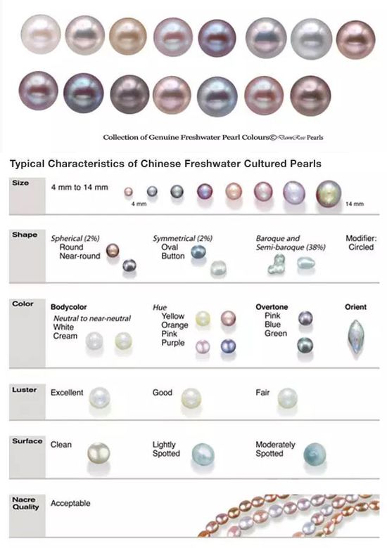 关于珍珠种类知识的解析