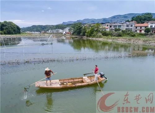 阳新县各镇人口_阳新县地图(2)